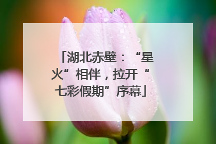 湖北赤壁：“星火”相伴，拉开“七彩假期”序幕